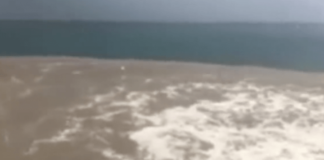 Napoli, nuovo problema ambientale: chiazza marrone nel mare di Posillipo (VIDEO)