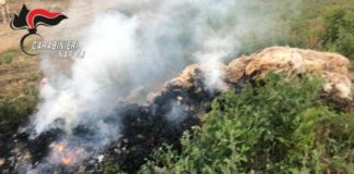 Giugliano, contrasto allo sversamento illegale di rifiuti nella Terra dei Fuochi: 32 denunce Giugliano, contrasto allo sversamento illegale di rifiuti