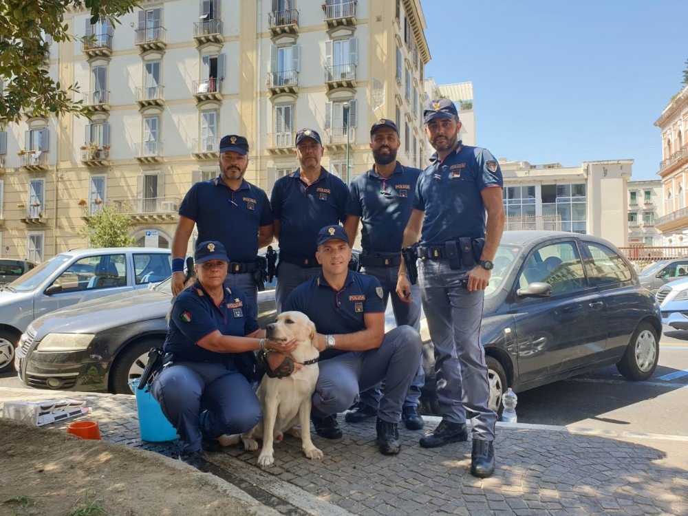 Labrador chiuso in auto sotto il sole, salvato dalla Polizia a Napoli (VIDEO)