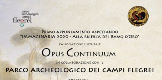 L'Associazione "Immaginaria 2020" presenta il "Dizionario appassionato di Napoli"