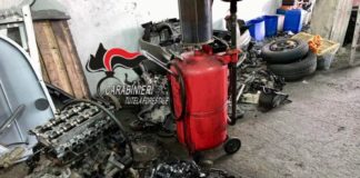 Reati ambientali, denunce e sequestri a Napoli Reati ambientali, denunce e sequestri nell'area di Napoli