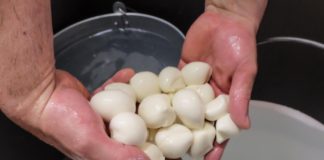 Ischia, sequestrati 300 kg di latticini mal conservati e non rintracciabili