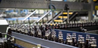 Coca Cola: Il Ministero della Salute ha pubblicato i lotti di bottigliette ritirati in tutta Italia per rischio fisico. Ecco tutti i dettagli.