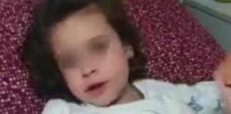 Melito: al via una raccolta fondi per salvare Ginevra, con un tumore