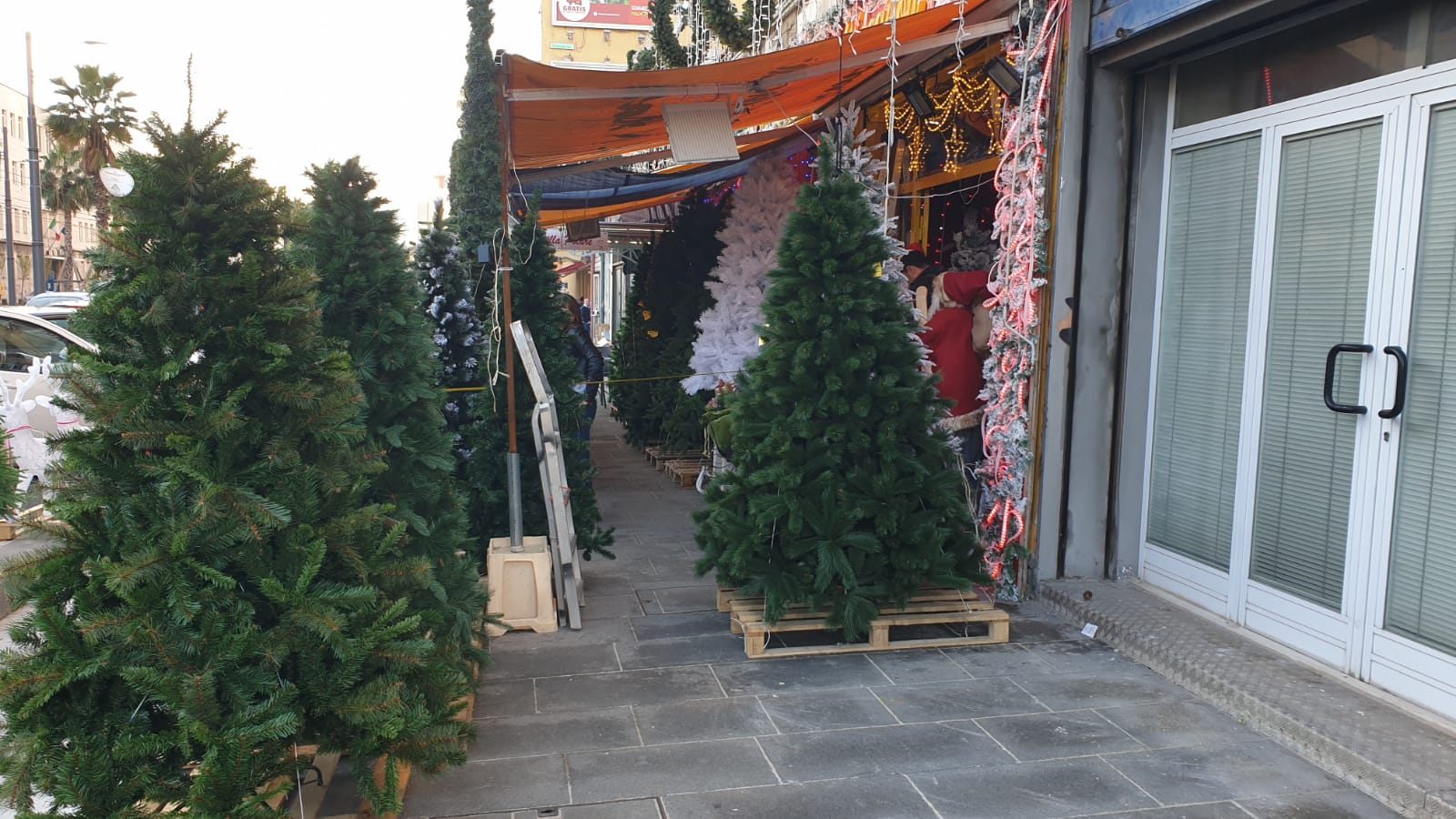 Aveva occupato un intero marciapiede per vendere alberi di Natale