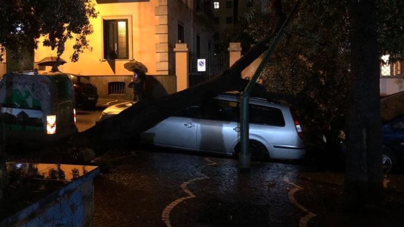 Napoli, tragedia sfiorata a Bagnoli: albero caduto su un’auto in sosta
