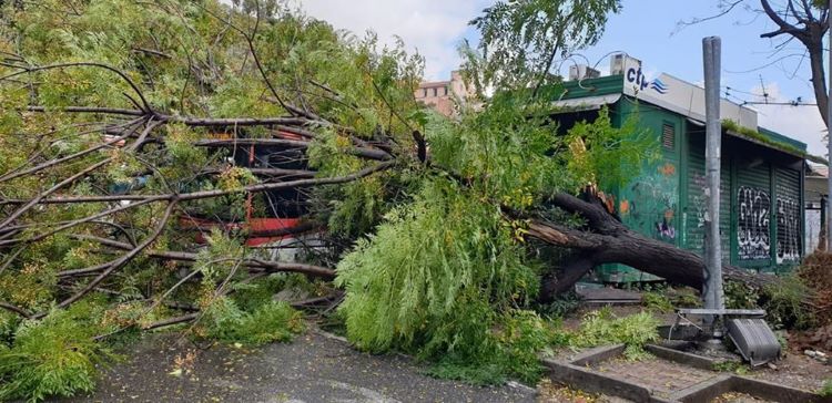 Maltempo a Napoli, enorme voragine ai Ponti Rossi: sgomberate ben 25 famiglie