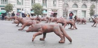 Napoli abbraccia sempre di più l’arte: in arrivo i 100 lupi di Liu Ruowang