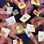 Scuola: Attività e laboratori per l’open day all’Istituto Caselli-De Sanctis