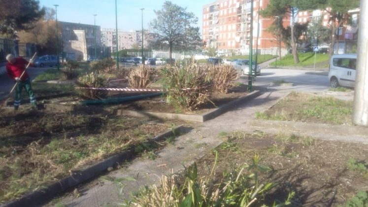 Ponticelli: Rimosso l'albero che si era abbattuto sulla scuola in via Manlio Rossi