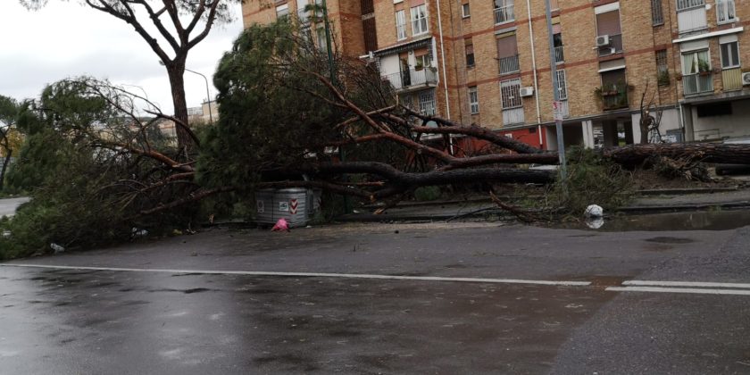 Maltempo gravi danni a Napoli e in provincia. La Protezione Civile: "Prestare massima attenzione"