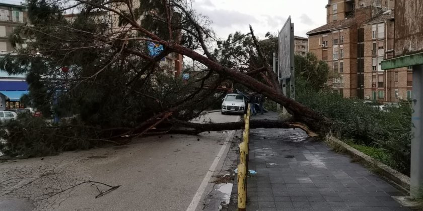 Maltempo gravi danni a Napoli e in provincia. La Protezione Civile: "Prestare massima attenzione"