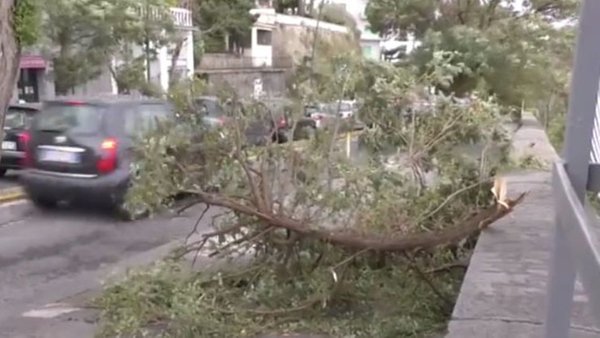 Maltempo, tragedia ad Agnano: uomo muore schiacciato da un albero