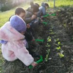 A Ponticelli si va a scuola di agricoltura sociale