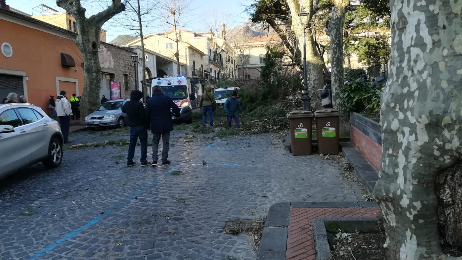 Cava de' Tirreni, albero precipita a causa del vento: morto un 65enne
