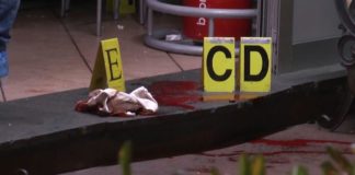 Agguato di camorra nella cornetteria ai Colli Aminei, arrestato killer