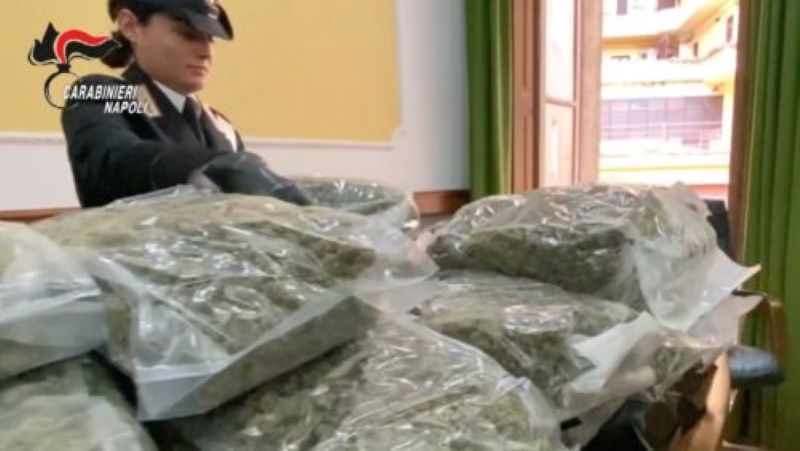 Carabinieri sequestrano 48 chili di marijuana: arrivavano dalla Penisola Iberica