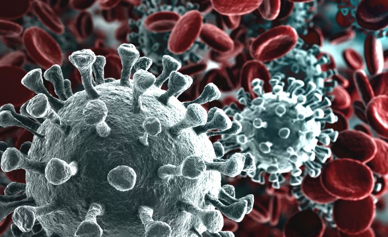 Coronavirus, studio italiano scopre i geni che aumentano il rischio di infezione
