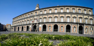 La natura si riprende i suoi spazi: a piazza del Plebiscito cresce l'erba