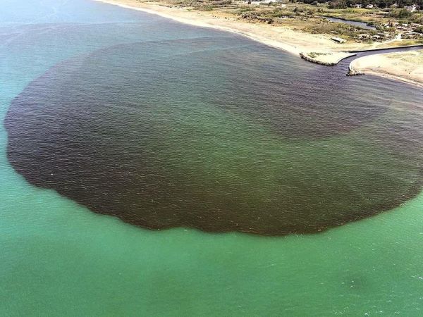 Macchia nera nel mare del litorale domitio: indagine della Procura