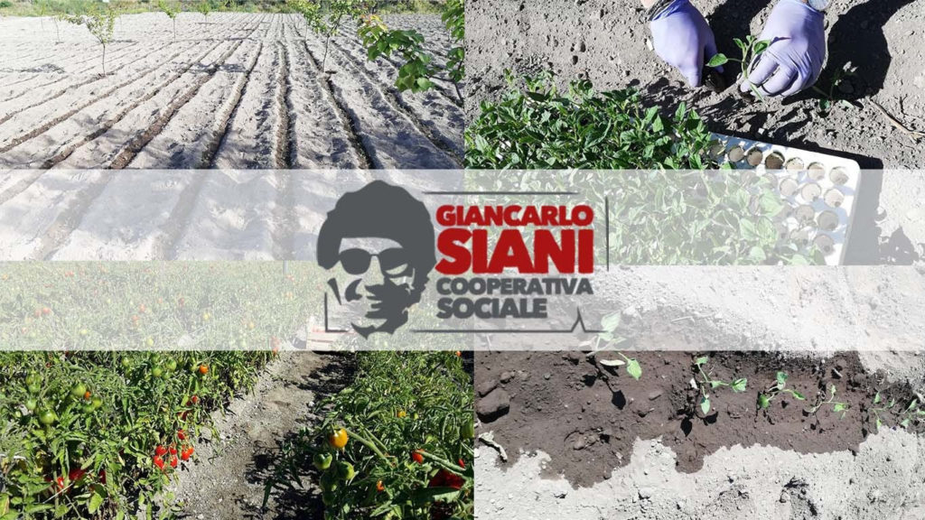 Ercolano. Scarcerazioni boss, Coop Siani: “Costruiamo entusiasmo e non paure!”