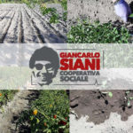 Ercolano. Scarcerazioni boss, Coop Siani: “Costruiamo entusiasmo e non paure!”