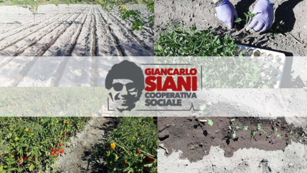 Ercolano. Scarcerazioni boss, Coop Siani: “Costruiamo entusiasmo e non paure!”