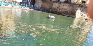 Chiazze marroni nelle acque di Posillipo, la denuncia