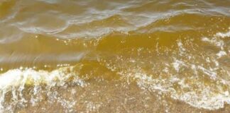 Schiume in mare a Baia Domizia, primi risultati dei prelievi