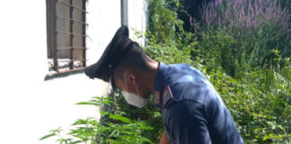 Licola di Pozzuoli: Servizi anti-droga. Carabinieri arrestano coniugi incensurati