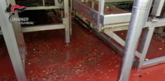 Scarti industriali nel fiume Sarno e poi in mare: imprenditori denunciati
