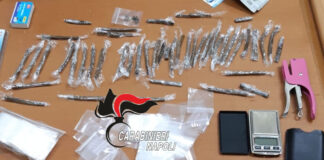 Ponticelli, 26enne arrestato: nascondeva la droga tra le piante di casa