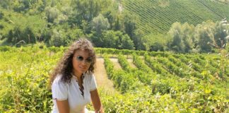 Petilia Experience, focus sul territorio del Greco di Tufo