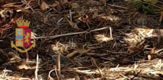 Portici, fuggono a controllo e puntano pistola contro poliziotti: 2 arresti