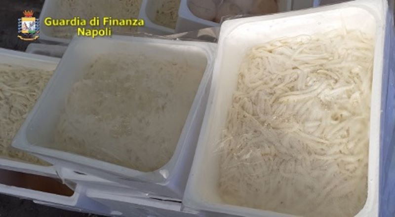 Azienda abusiva di prodotti lattiero-caseari a Ponticelli: sequestrata 1 tonnellata di mozzarella