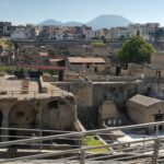 Il Parco Archeologico di Ercolano apre i cancelli al pubblico dal 30 aprile prossimo. L’accesso avverrà sia dall’ingresso monumentale di Corso Resina, attraverso i giardini del Parco Maiuri, sia da Via dei Papiri Ercolanesi. Attivato lo sportello informazioni.