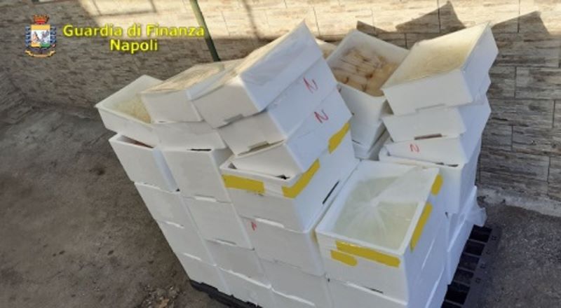 Azienda abusiva di prodotti lattiero-caseari a Ponticelli: sequestrata 1 tonnellata di mozzarella