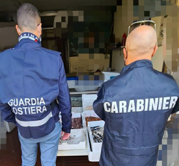 Benevento, sequestrati 30 kg di prodotti ittici senza tracciabilità