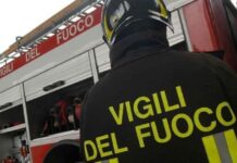 Avellino, rami crollano su 3 auto: tragedia sfiorata