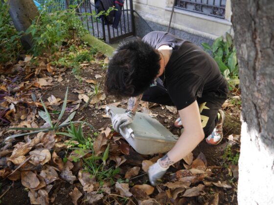 I volontari ripuliscono l’esterno del Parco dei Quartieri Spagnoli di Napoli
