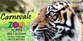 Carnevale allo Zoo di Napoli: chi entra in maschera torna gratis