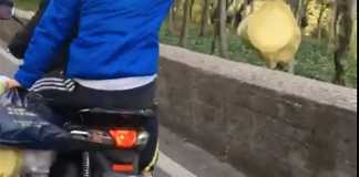 Secondigliano, fuggono su uno scooter rubato: 2 denunciati