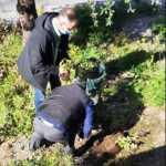 Monte di Procida, controlli sulla differenziata e lavori di decoro urbano