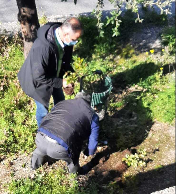 Monte di Procida, controlli sulla differenziata e lavori di decoro urbano