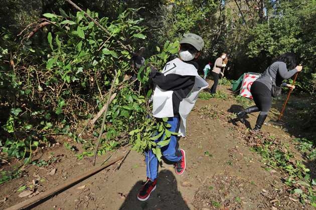 Sessanta volontari in azione per la cura del verde nella Villa Floridiana