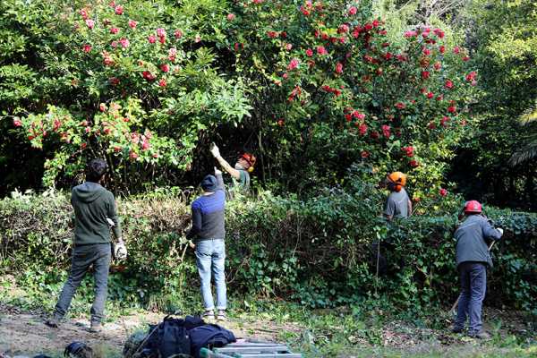 Sessanta volontari in azione per la cura del verde nella Villa Floridiana