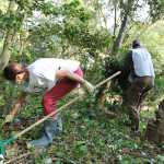 Sessanta volontari in azione per la cura del verde nella Villa Floridiana