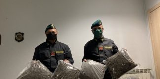 Santa Maria la Fossa, scoperta coltivazione di marijuana