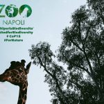 Lo ZOO di Napoli entra nella Global Coalition