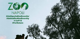 Lo ZOO di Napoli entra nella Global Coalition